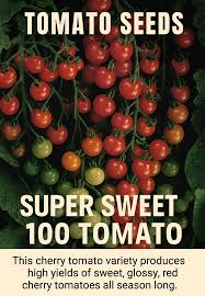 High Yield Tomato Seeds