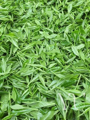 Flavoured Green Tea Leaves