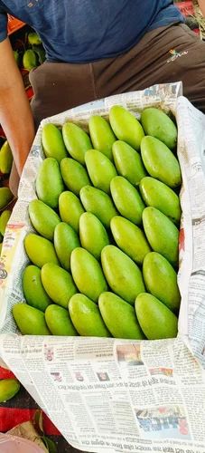 Dasheri Mango