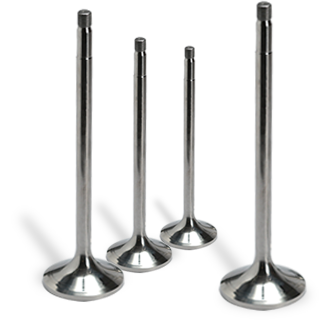 Engine Valves