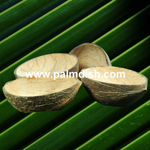 Coconut Shell