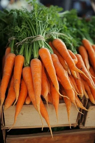 Fresh Carrot