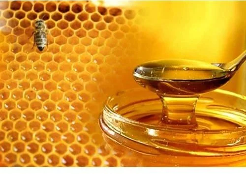 Organic Honey
