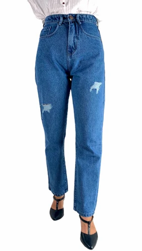 Regular Women Ripped Denim, Zipper, High Rise
