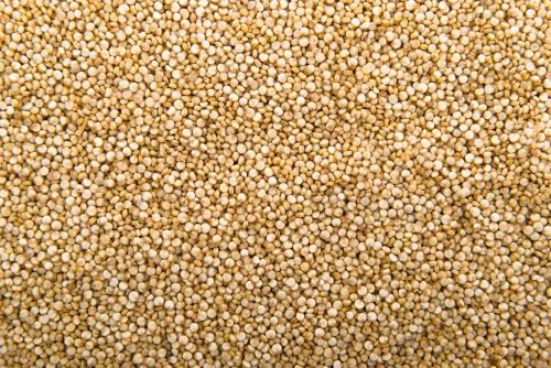 Organic White Quinoa Seeds