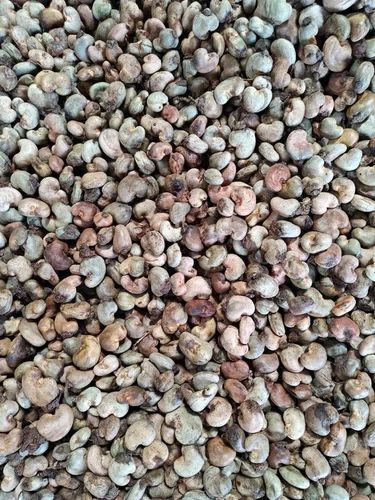 Raw Cashew Nuts Ivory Coast