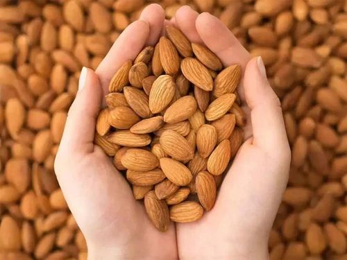 American Badam Giri