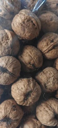 Kashmiri Shell Walnuts, Whole, Form: Inshell (Sabut)