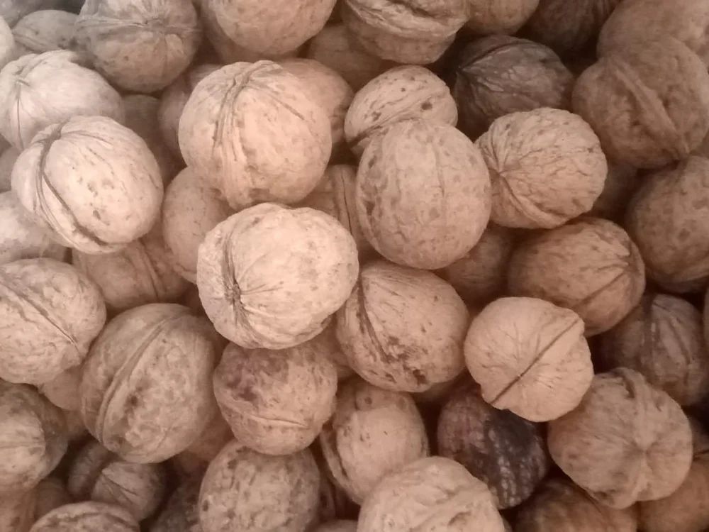 Raw Walnuts
