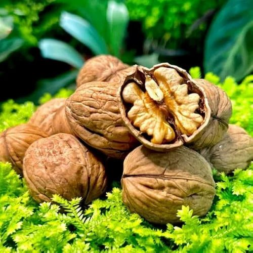 Chilli Walnut Whole