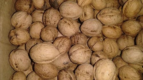 Walnuts Fresh loose Walnut Akhrot, Packaging Size: 30kg