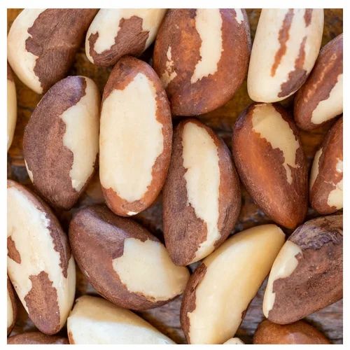 Whole Dried Brazil Nuts, Packaging Size: Loose