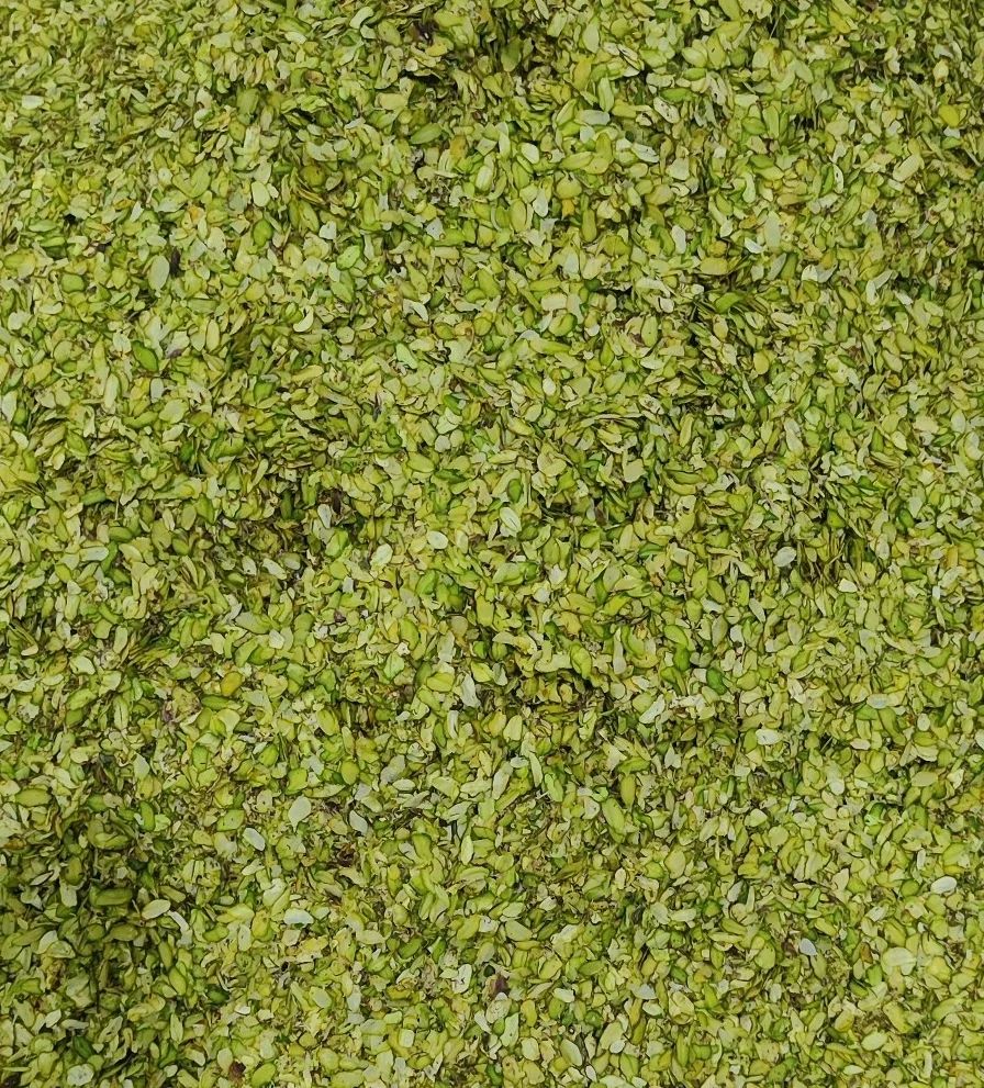 Pista slice (pista katran)