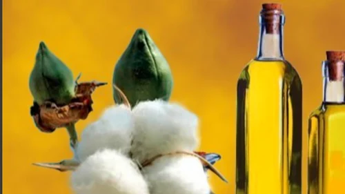 Refined Cottonseed Oil, Packaging Size: 100 ml to 15 lit