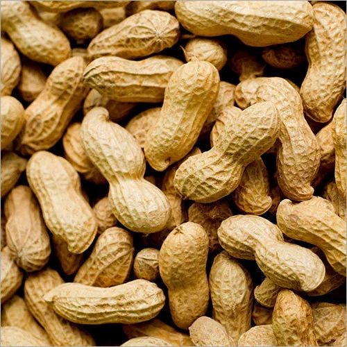 Bold (Runner) Groundnuts With Shell