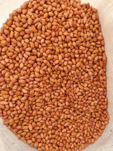 Raw Earthnut Seeds