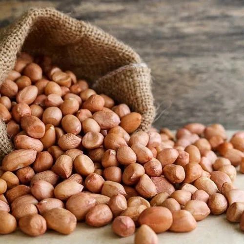Organic Raw Groundnut Seed