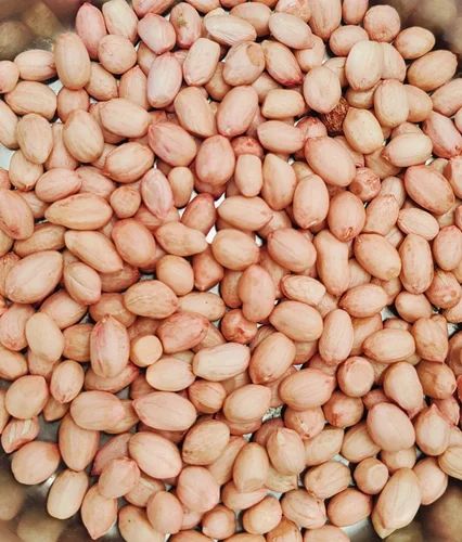 New Java Groundnut Seed, 50 Kg