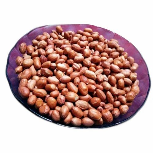PG 1 Groundnut Seeds