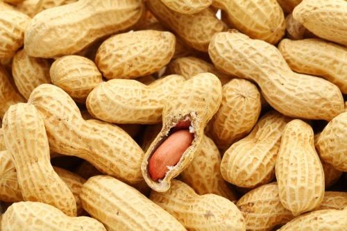 TG 1 Natural Whole Groundnut