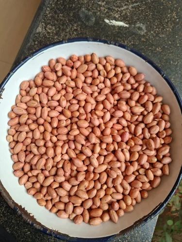 Girnar 4 Groundnut Seeds 50/60