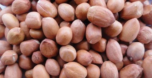 Groundnut Peanut Bold 50 60