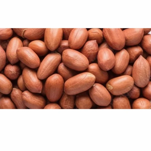 Bold Natural Groundnut Seed