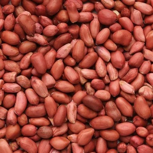 TG 1 Organic Groundnut Seeds