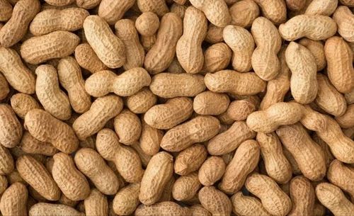 Bold (Runner) Whole Shelled Peanut