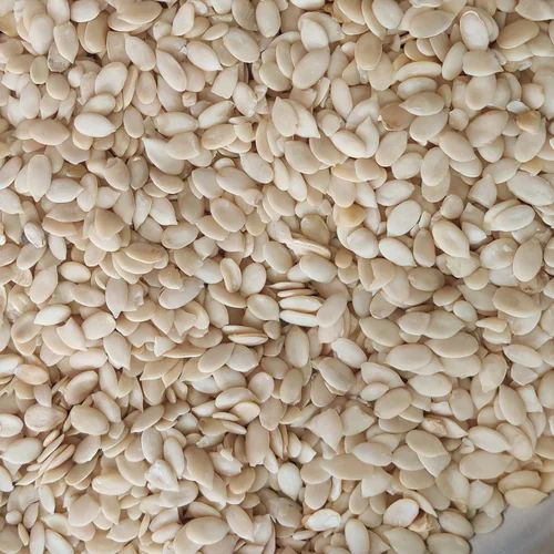 1 kg Magaj Indian Tarbooj