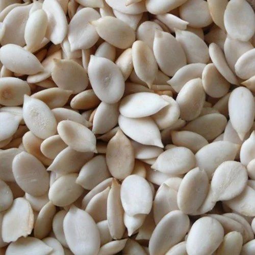 Magajtari Sudan Magaj