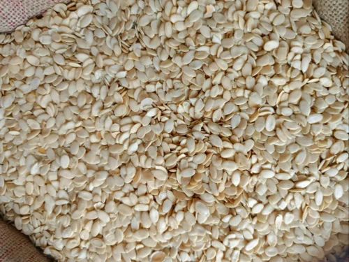 15% Moisture Magajtari Seed