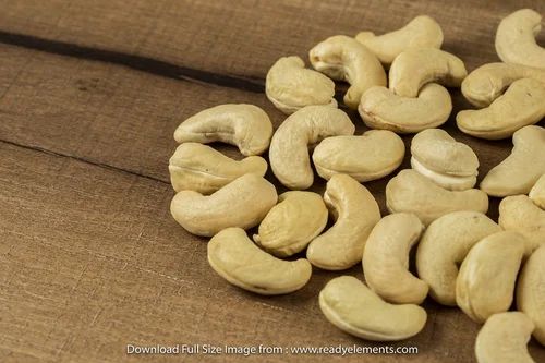 Cashew Nuts W240 Kaju