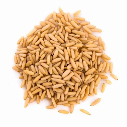 Pine Nuts Chilgoza Kernels