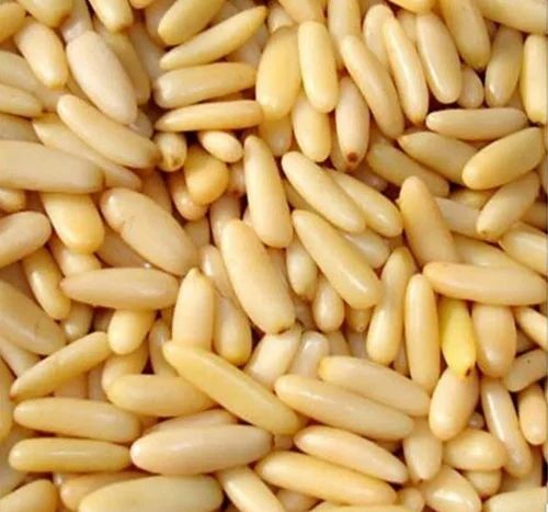 Chilguza pine nuts, Packaging Size: 10 kg