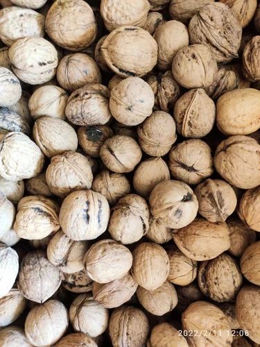 Kashmiri Walnut, Split, Packaging Size: 45
