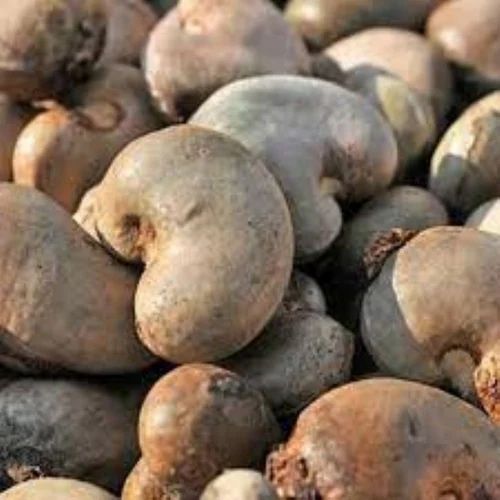 Raw Cashew Nuts (180 Nuts/kg)