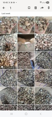 Raw Cashew Nuts