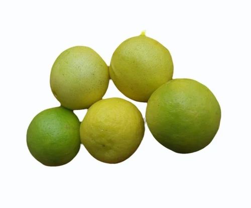 Export Quality Lemon