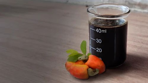 Raw Cashew Nut Shell Oil