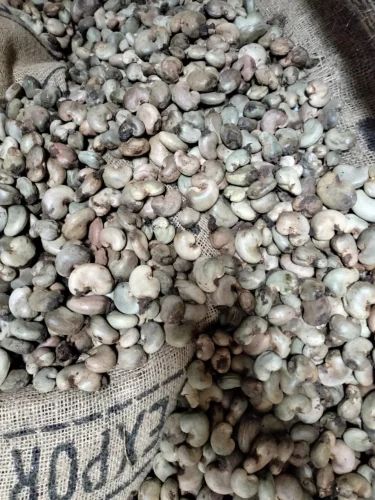 Togo Benin Raw Cashew Nut