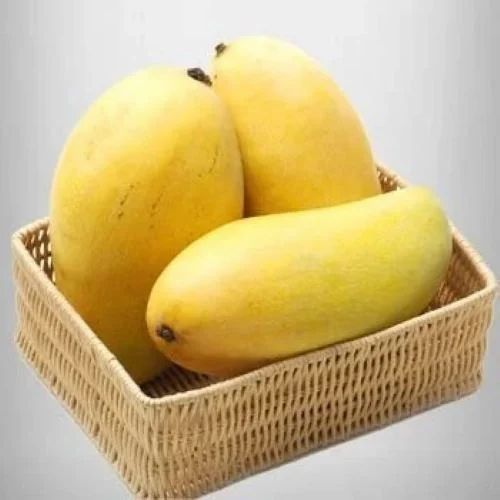 Kesar Mango
