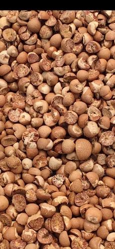 Areca Betel Nuts, Whole, Packaging Size: 50 kg
