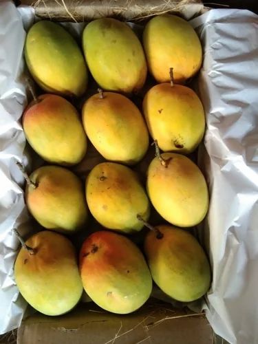 Alphonso Mango Exports
