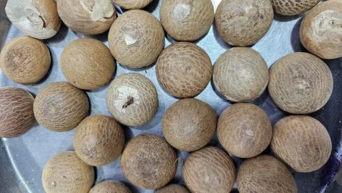 Jamnagar Areca Nut, Packaging Size: Loose, Whole