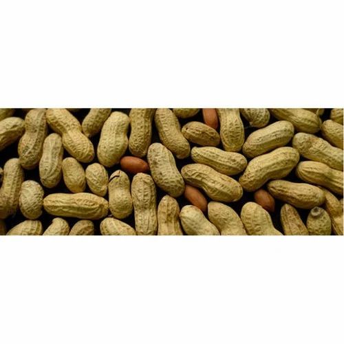 Roasted Jumbo Groundnut Packet