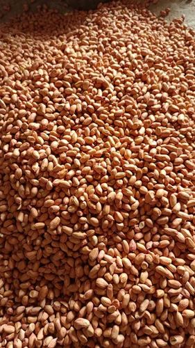 Bold Peanuts, 50 Kg