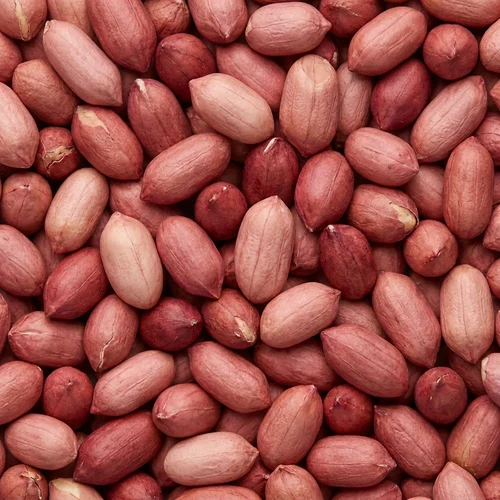 40 kg Bold Java Peanuts