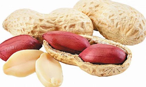Groundnut