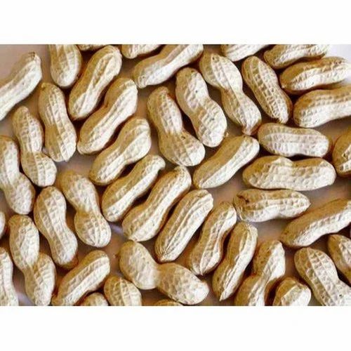 Loose Bold Peanut